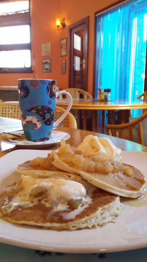 Trees Cafe - Travel Search 3