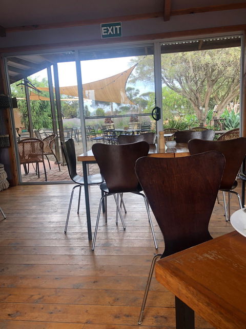 Emu Bay Lavender - Cruises Travel 3