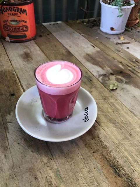 Nagev - Travel Agents 6