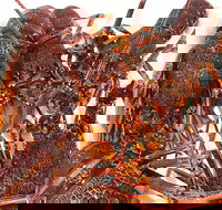 Sails Restaurant - Travel Agents