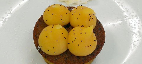 Submarine Cafe - Travel Agents 1