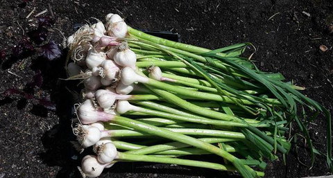 Submarine Cafe - Travel Agents 5