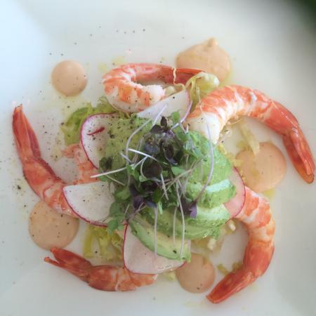 Pullenvale QLD Cruises Travel