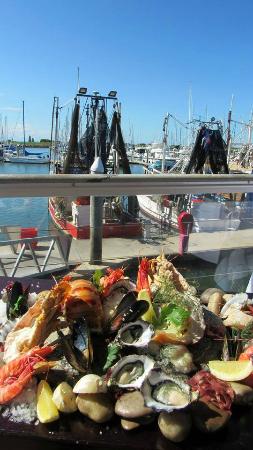 Tempest Seafood Restaurant & Teppanyaki Grill - Cruises Travel 0