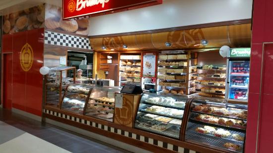Rockhampton QLD Tourism Guide