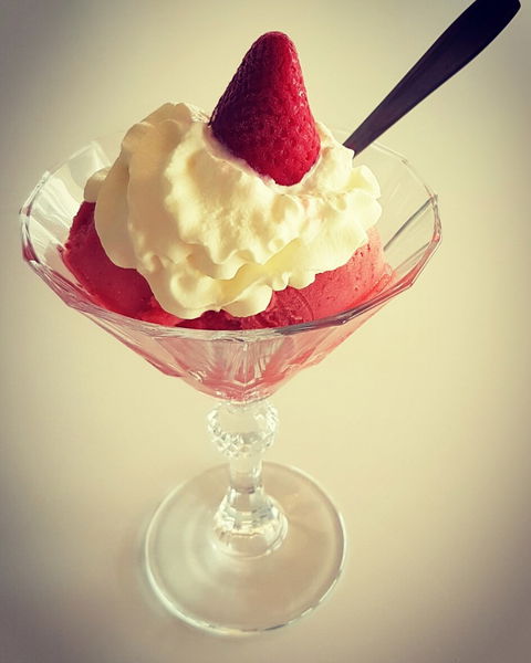 Baci Gelati Caffe - Travel Agents 3