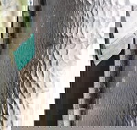 Hotel Tully - Travel Search