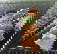 Three Black Sheep Cafe - Travel Agents