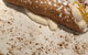+39 Pizzeria - thumb 5