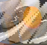 New Leaf Cafe Murwillumbah - Travel Agents