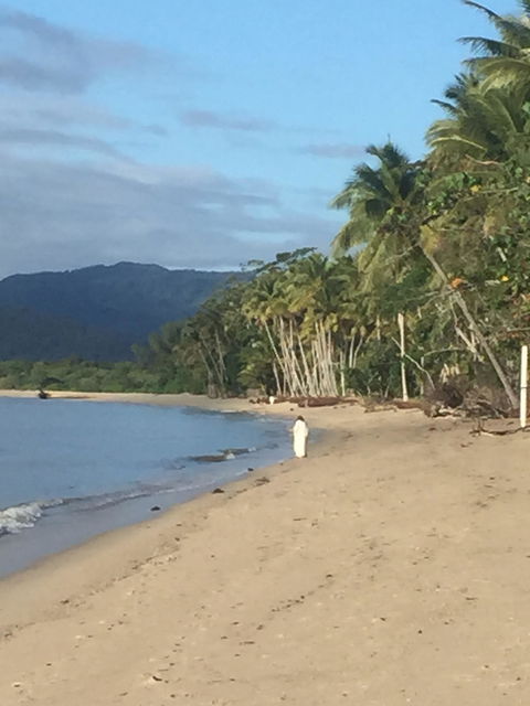 Newell Beach Takeaway And Cafe - Travel Agents 2