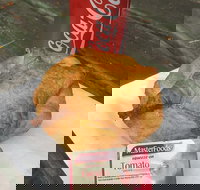 Uki Pies - Travel Agents