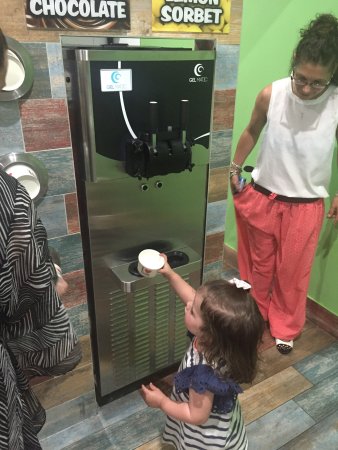 Mowbray QLD Travel Search