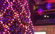 Conservatory - thumb 5