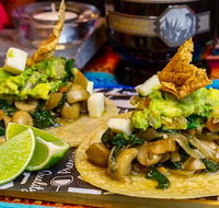 Saporito Taquito - Tourism Guide