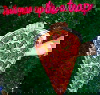 Old School Pizza  Stonegrill - Travel Search