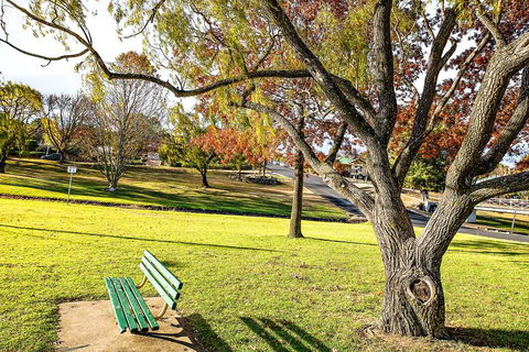 Comfort Inn City Centre Armidale - Travel Agents 17