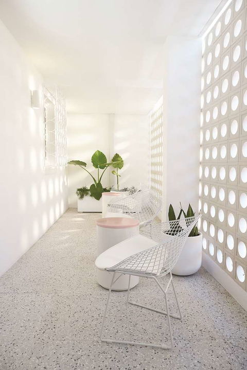 Adina Apartment Hotel Chippendale - Tourism Guide 3