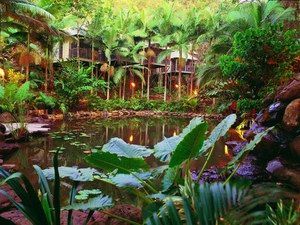Daintree Eco Lodge & Spa - Tourism Guide 0