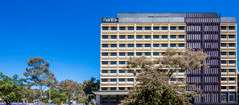 Mantra MacArthur Hotel - Tourism Guide 0