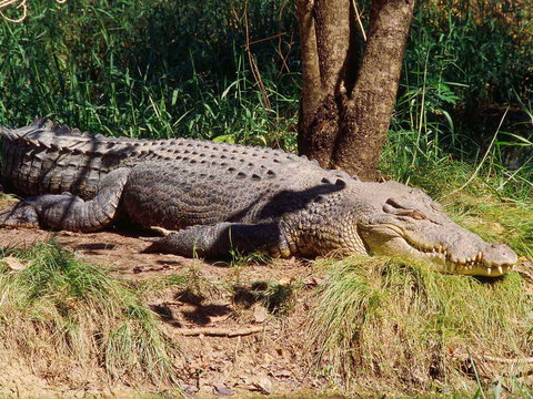Novotel Darwin Atrium - Travel Search 16