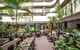 Novotel Darwin Atrium - thumb 12