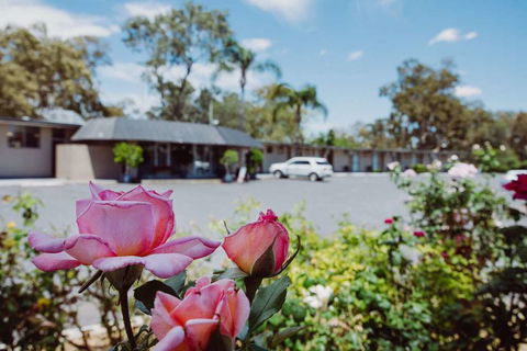 Artesian Spa Motor Inn - Tourism Guide 2