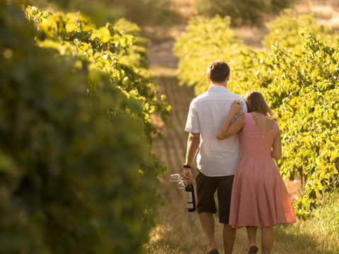 Novotel Barossa Valley Resort - Cruises Travel 1