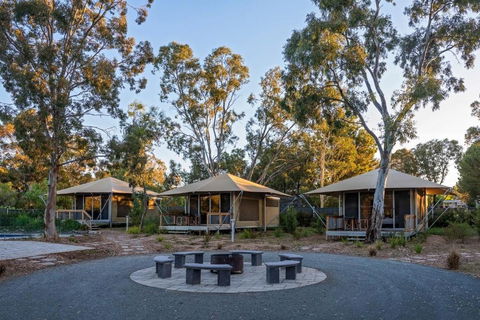 Discovery Parks Barossa Valley - Cruises Travel 0