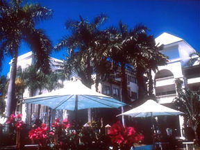 Alamanda Palm Cove - Tourism Guide 1