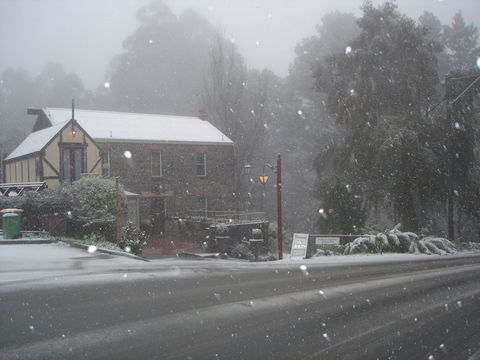 Adeline Bed & Breakfast - Tourism Guide 1