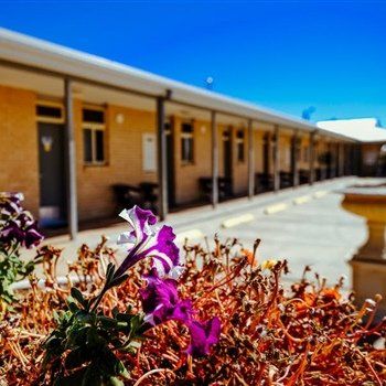 MAS Country Club Motor Inn - Tourism Guide 1