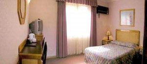 Golden Chain Ascot Motor Inn - Tourism Guide 1