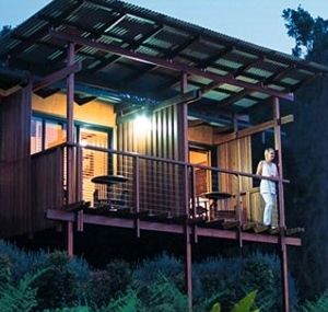 O'Reilly's Rainforest Guesthouse - Cruises Travel 1