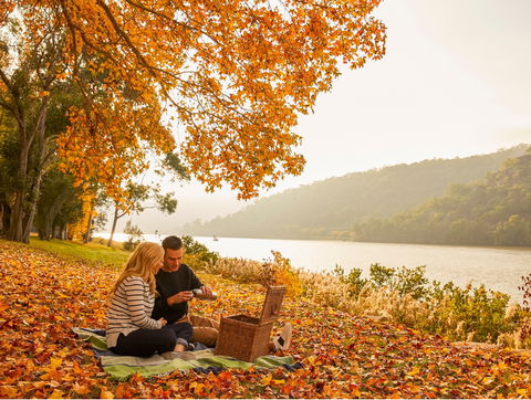 Crowne Plaza Hawkesbury Valley - Tourism Guide 16