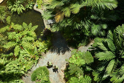 DoubleTree by Hilton Cairns - Tourism Guide 2