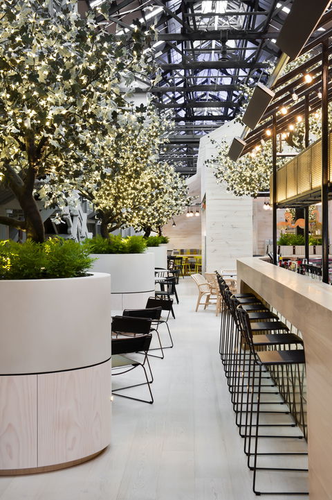 Ovolo Woolloomooloo - Cruises Travel 0
