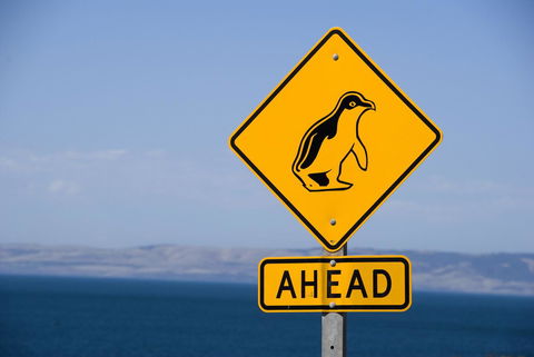 Kangaroo Island Seafront - Travel Search 43