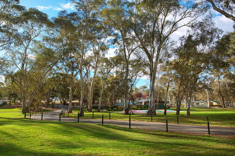 Discovery Parks - Clare - Travel Search 19