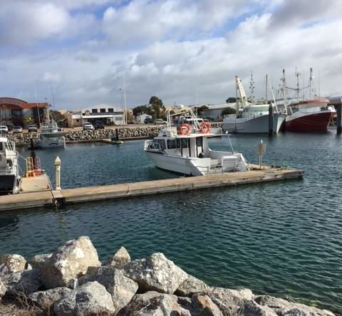 Port Lincoln Shark Apartment 1 - Travel Search 14
