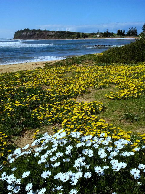 Serenity On Narrabeen Beach - 1Bdr Beachside Retreat - Travel Agents 10