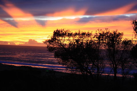 Serenity On Narrabeen Beach - 1Bdr Beachside Retreat - Travel Agents 1