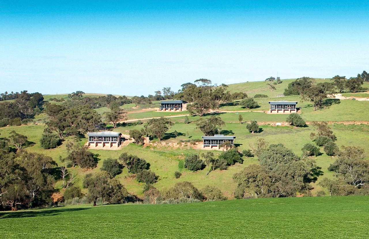 Lyndoch SA Tourism Guide