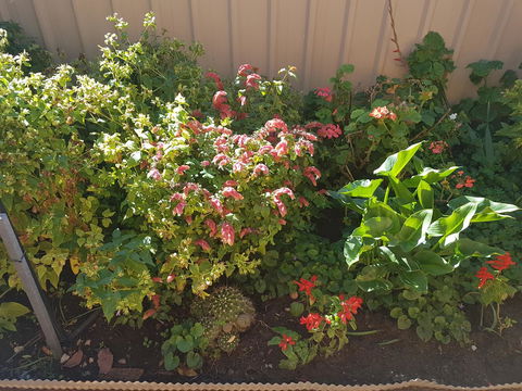 Tanunda\'s Magpie House - Travel Search 24