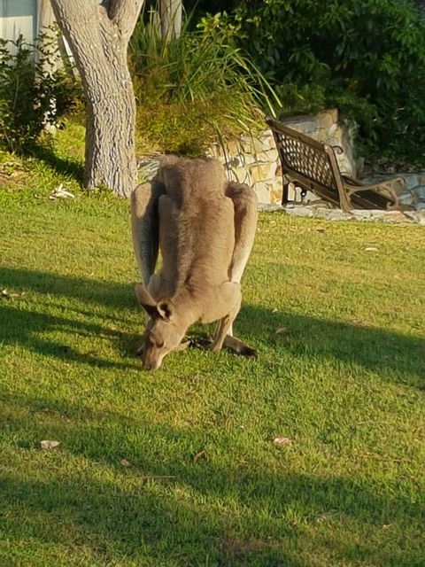 \'Point Break\' Your Waterfront Break At The Point - Travel Agents 12