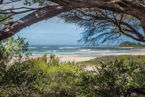 BIG4 Tasman Holiday Parks - Racecourse Beach - Travel Search 7