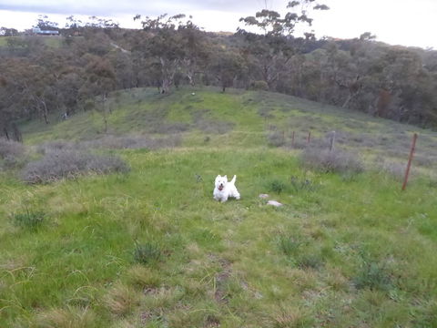 Molly's Chase - Travel Search 22