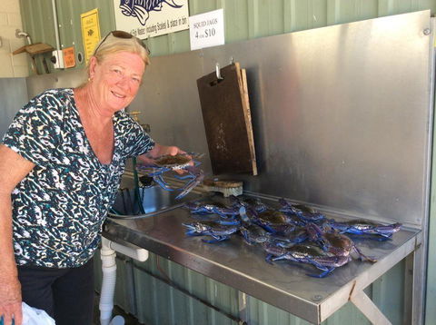 Ceduna Foreshore Caravan Park - Travel Search 28