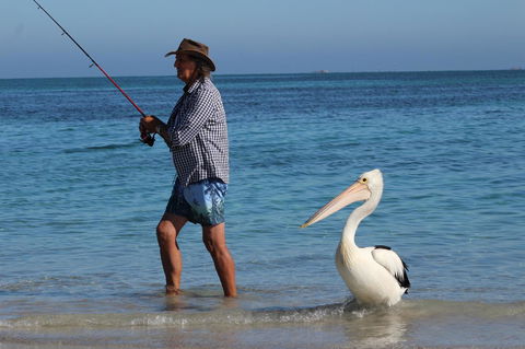 Ceduna Foreshore Caravan Park - Travel Search 21