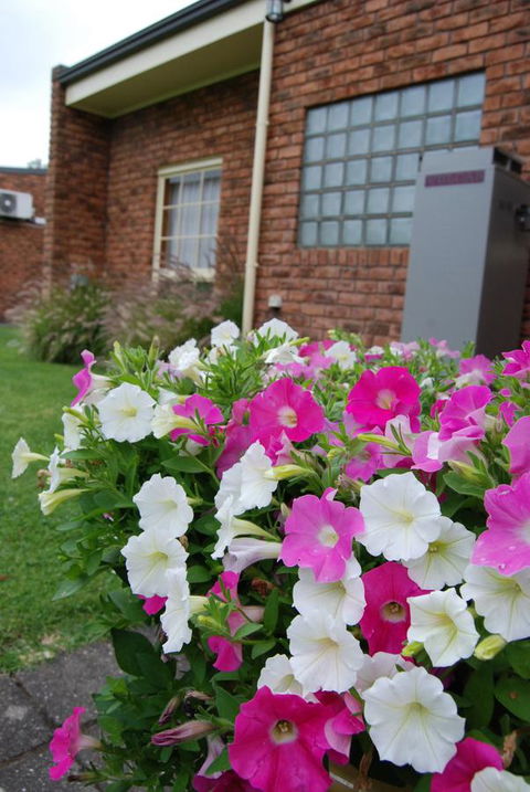 Arkana Motor Inn & Terrace Apartments - Tourism Guide 40